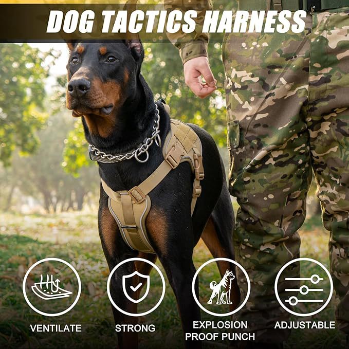 AyalaPet 3-in-1 No-Pull Dog Harness and Leash Set - Multifunctional Reflective Pet Vest - Adjustable Escape-Proof Walking Harness for Small, Medium & Large Dogs