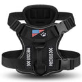 AyalaPet No-Pull Dog Harness and Leash Set - Reflective Adjustable Pet Vest for Small Medium Large Dogs - Escape-Proof Walking Gear in 4 Colors & 4 Sizes